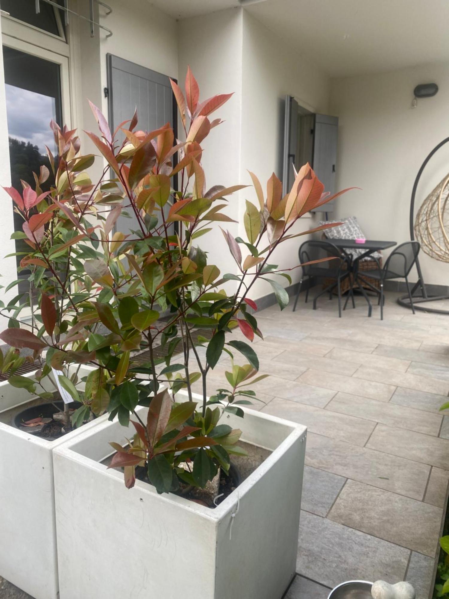 Apartment Lake View Малчезине Екстериор снимка